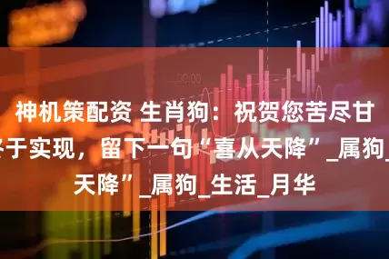 神机策配资 生肖狗：祝贺您苦尽甘来，愿望终于实现，留下一句“喜从天降”_属狗_生活_月华